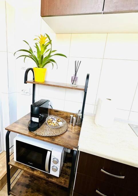 Cozy 1Br Apartment•Central•Quiet Bukarest Kültér fotó