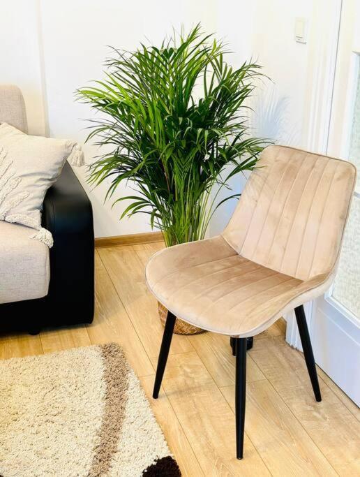 Cozy 1Br Apartment•Central•Quiet Bukarest Kültér fotó